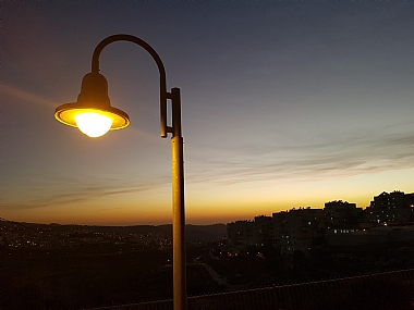 צילום: יהודה  ברגמן