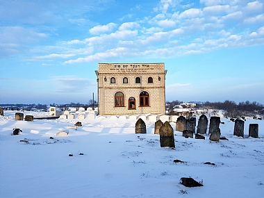 צילום: יהודה  ברגמן