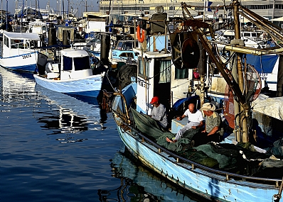 מתכוננים לדייג לילי