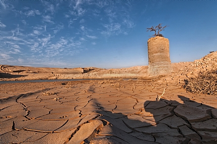 העצים התלויים