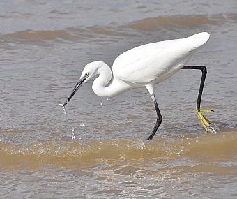צילום: יאיר  סהר