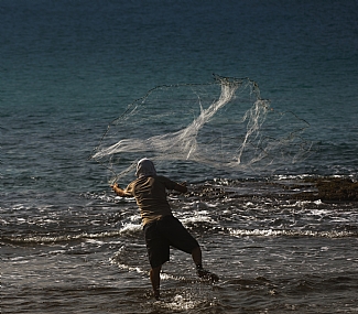 פרש דייג הרשת