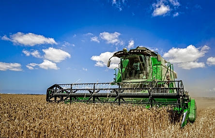 המוציא לחם מן הארץ