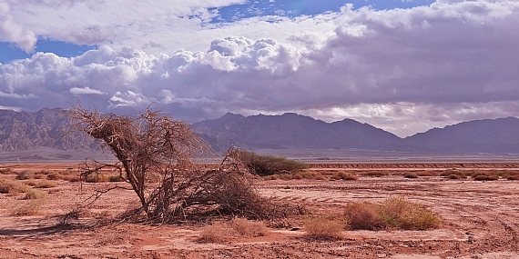 מול הרי אדום
