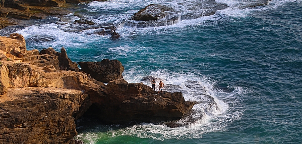 צילום: מרדי פורטאל