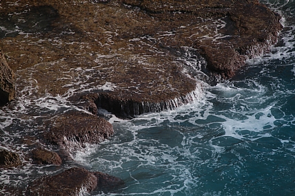 צילום: מרדי פורטאל