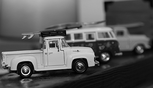 צילום: מרדי פורטאל