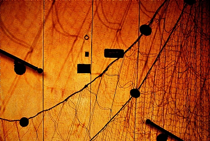 נקודות למחשבה