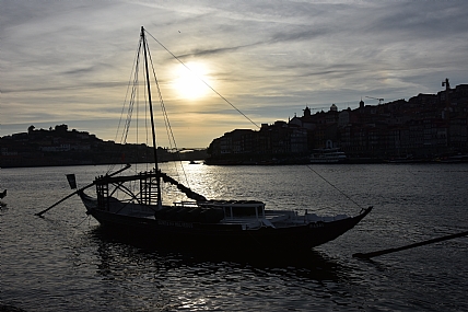 צילום: יאיר  סהר