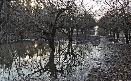על פלגי מים