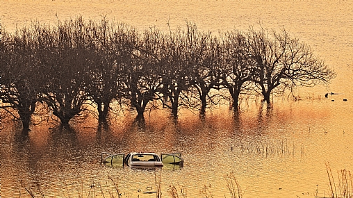 כשאגדל אהייה משאית