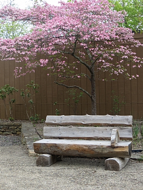 צילום: Avital Melnikov