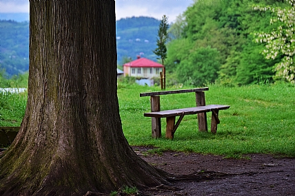 פנוי לישיבה