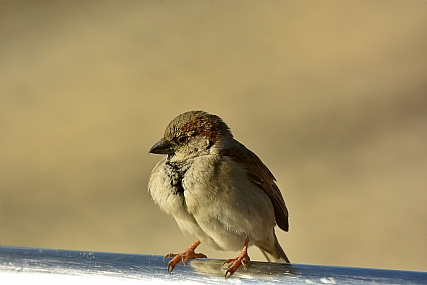 זמן למחשבות