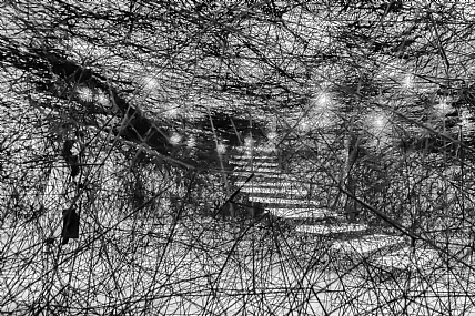 בכבלי הדמיון