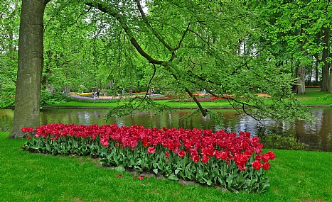 יופיו של הטבע