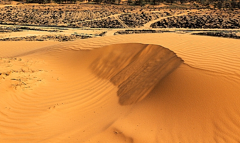 דיונה בשמורת רכס