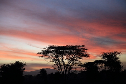 זריחה אפריקאית 2