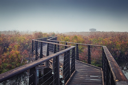 חורף באגמון 