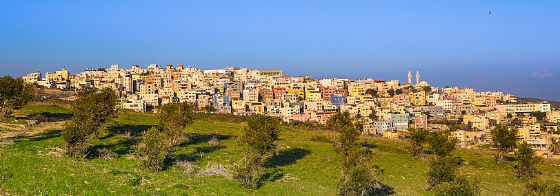 צילום: מיכה הלמן