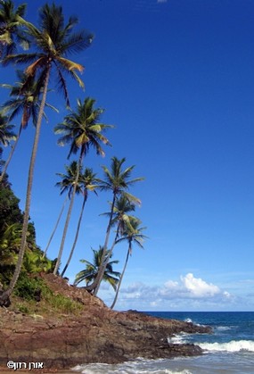למצוא קצת שקט