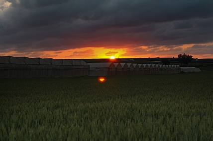 צילום: אלון אברמוביץ