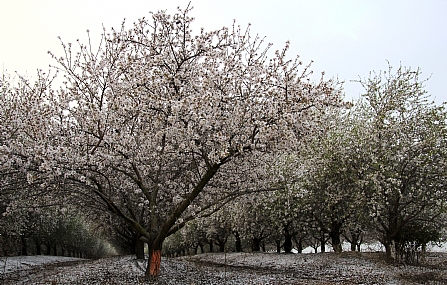 צילום: אדוה קפלן-דרור
