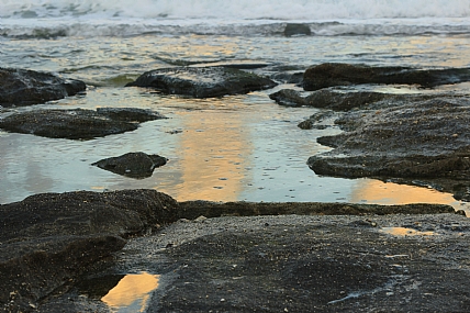 צילום: אדוה קפלן-דרור