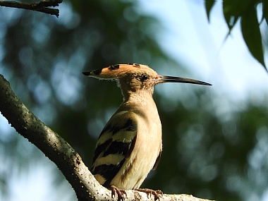 רגע של מנוחה
