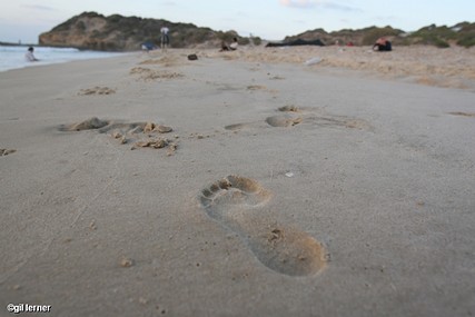 צעדים בחול