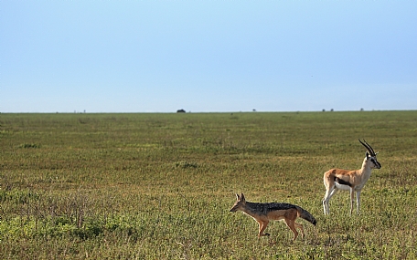 אחרית הימים ..........