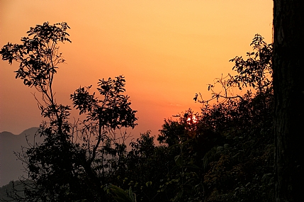 תמיד יפציע יום חדש