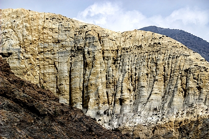 צורות במדבר