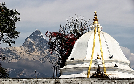 פסגת המקדש ופסגת ההר