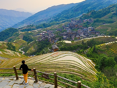 Longji טרסות האורז