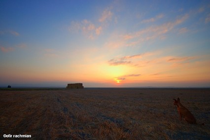 משולש ברמודה
