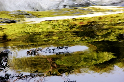 צילום: אושרי רייכר