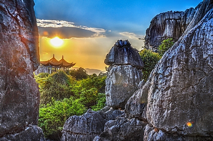 Stone Forest