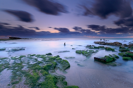 בין הערביים