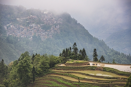 טרסות בשמיים