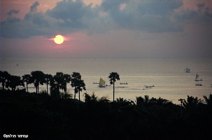 סירות הדייג עם שחר ...