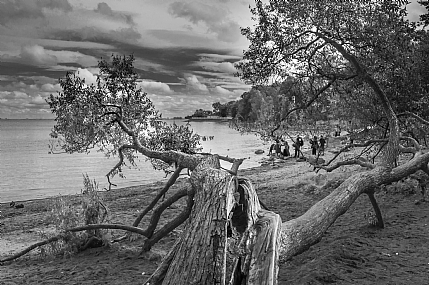 השתוקקות לים