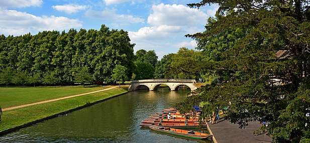 צילום: יעל קובשילובסקי