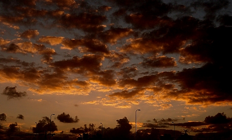 ויהי בוקר ויהי ערב