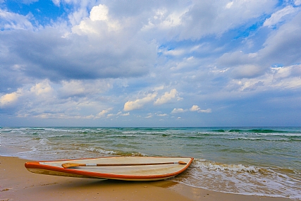 צילום: מיכה הלמן