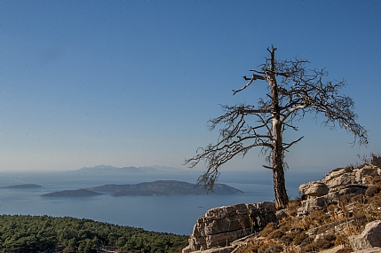 המלך העירום