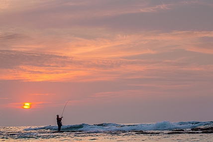 צילום: מיכה הלמן