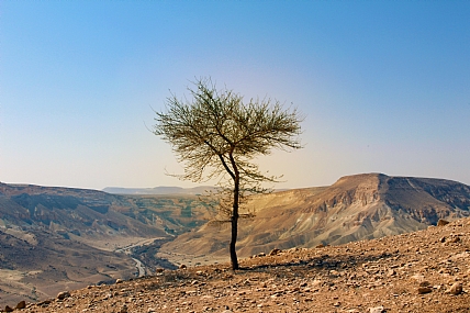 צילום: מקס זלבסקי