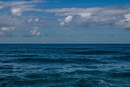 מפרש לבן באופק