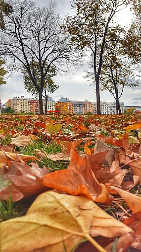 צילום: לירון אליעז